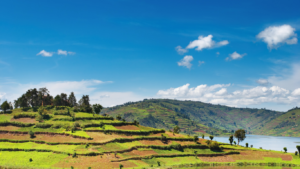 Uganda
