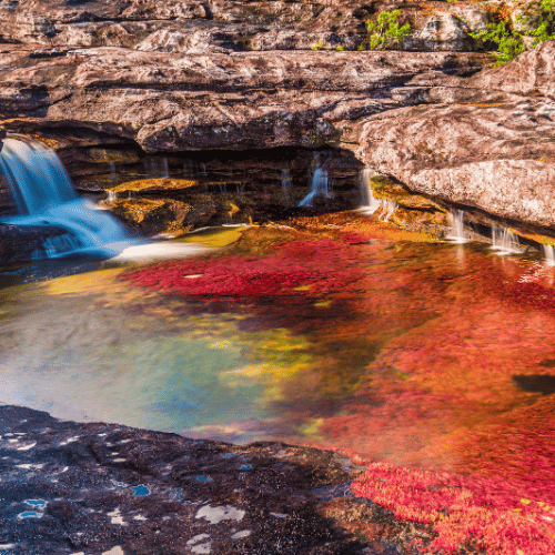 Caño Cristales