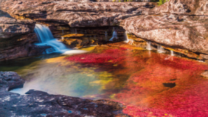 Caño Cristales