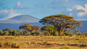 Sudáfrica