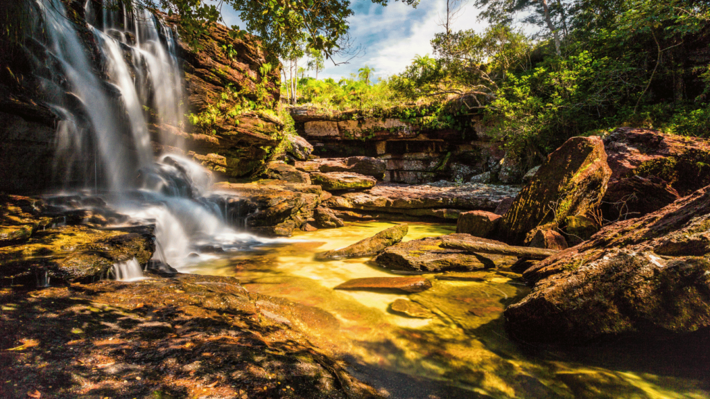 Caño Cristales