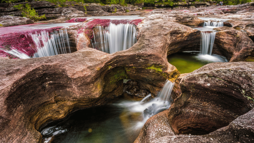 Caño Cristales