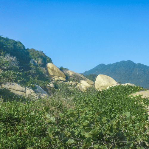 Parque Natural Tayrona