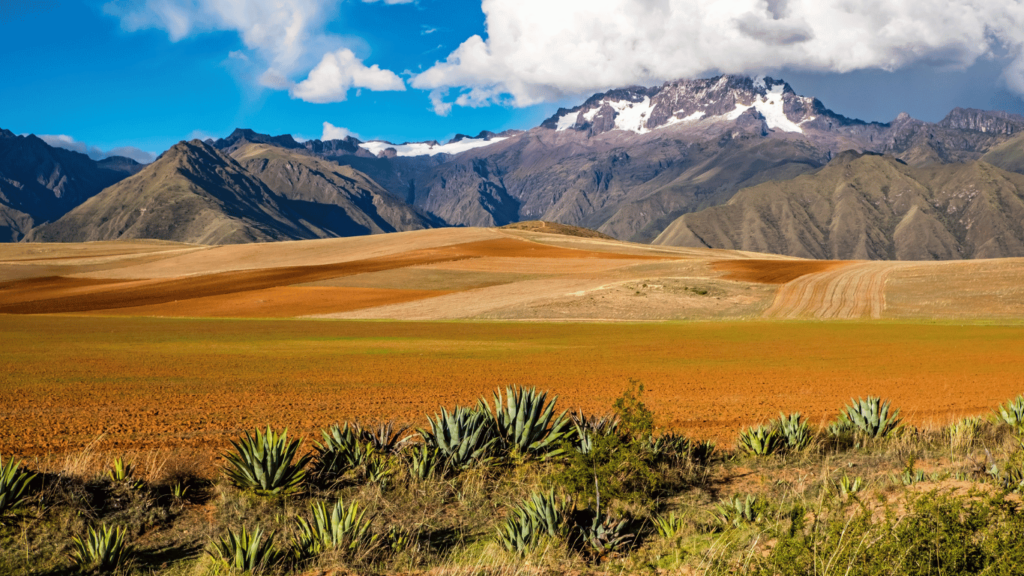 Bolivia