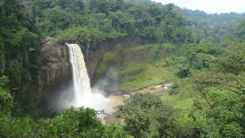 Camerún