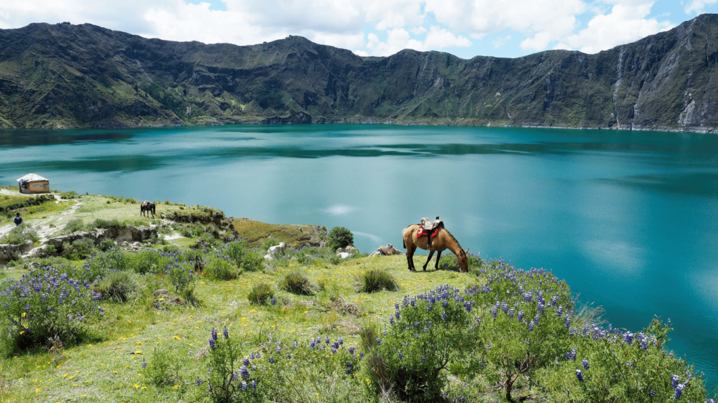 Ecuador