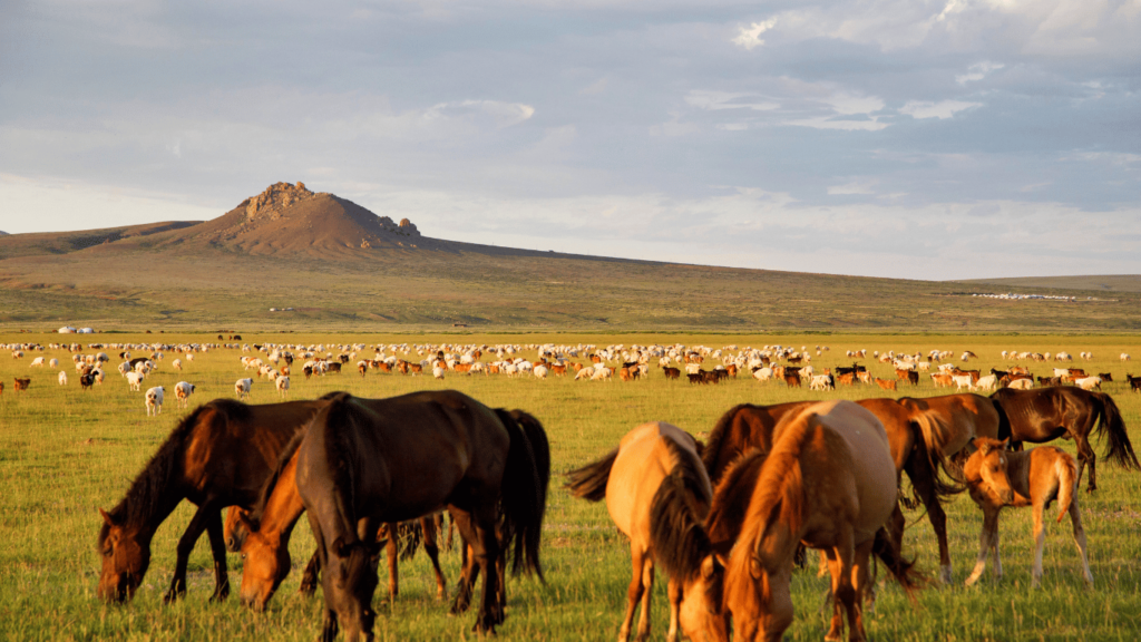 Mongolia