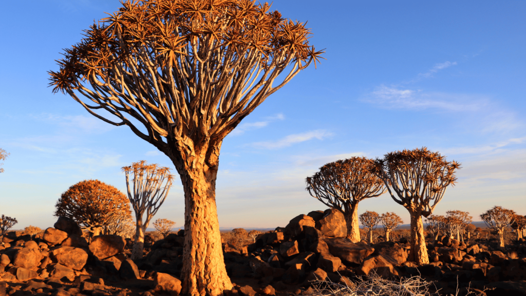 Namibia