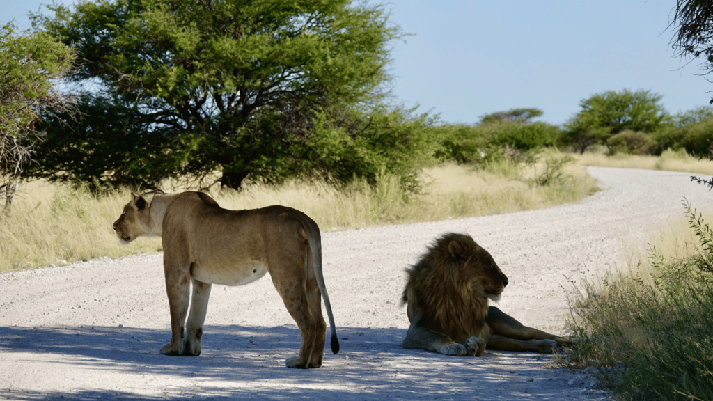 Namibia