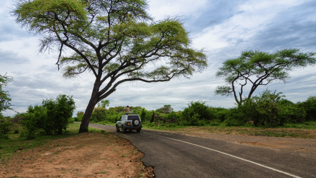 Zimbabue