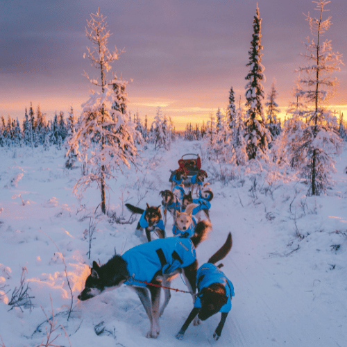 alaska