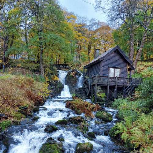 bergen