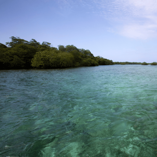 bocas del toro