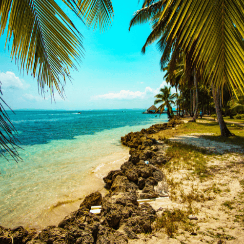 bocas del toro