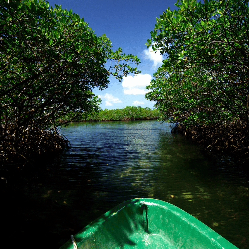 bocas del toro