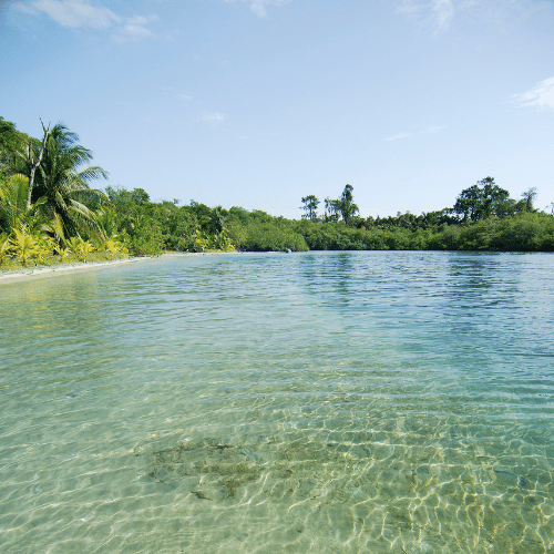 bocas del toro