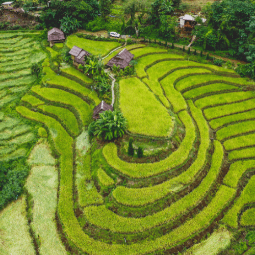 chiang mai