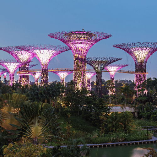 gardens by the bay