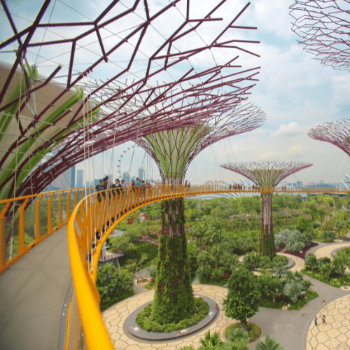 gardens by the bay