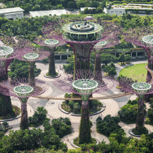 gardens by the bay