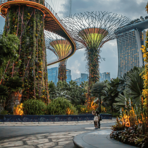 gardens by the bay