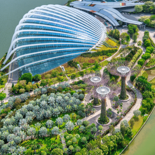 gardens by the bay
