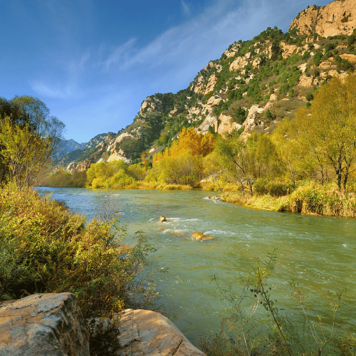 gran cañon