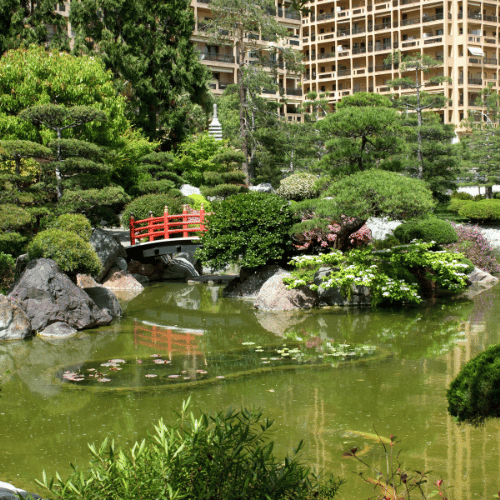 jardines japoneses