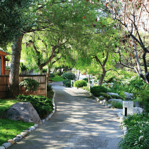 jardines japoneses