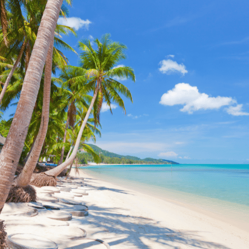 koh samui
