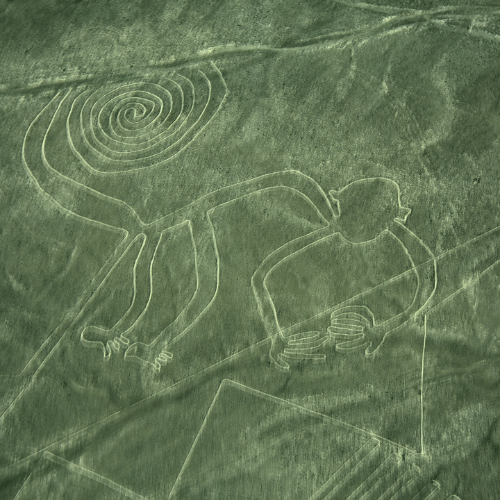 lineas de nazca