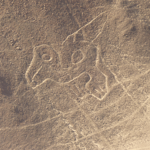 lineas de nazca