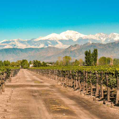mendoza