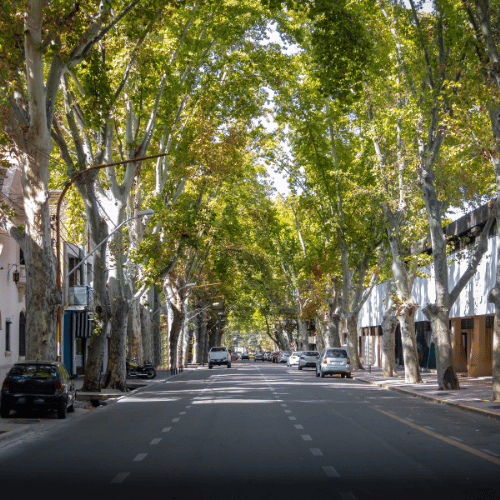 mendoza