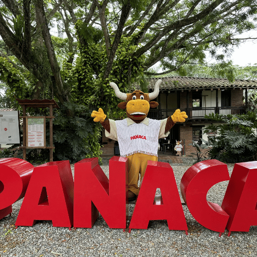 panaca