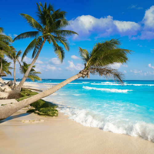 playa del carmen