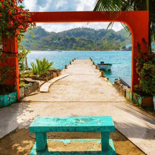 portobelo