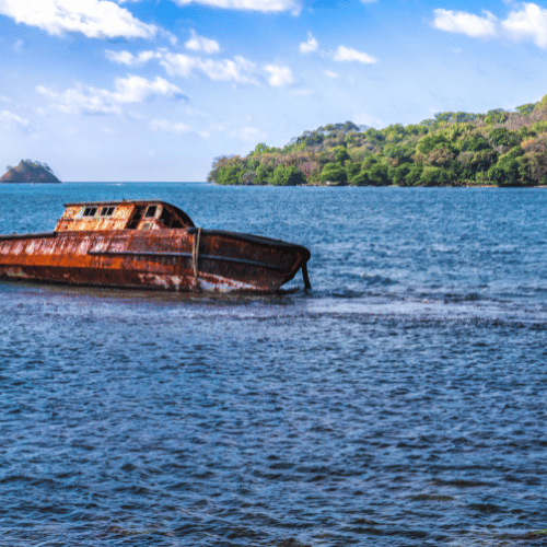 portobelo