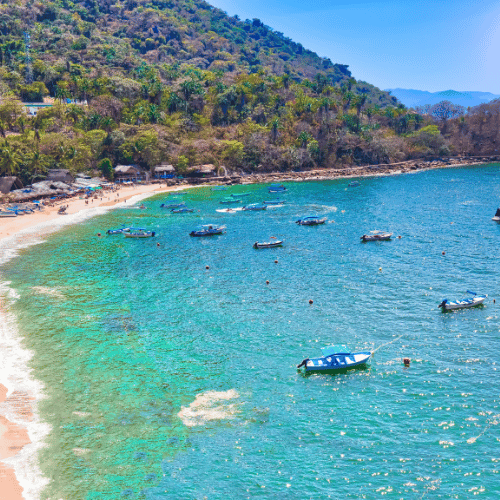puerto vallarta