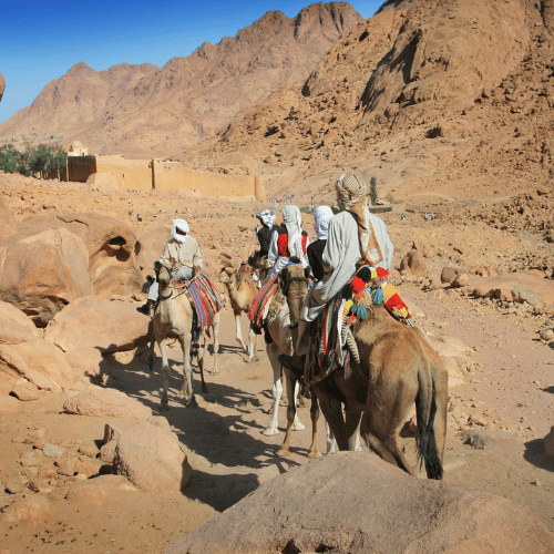 sinai