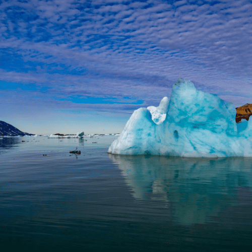 svalbard