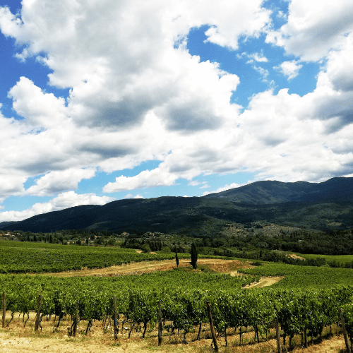 toscana