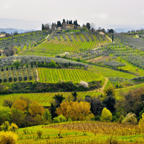toscana