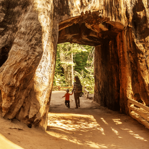 yosemite